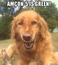 amcon-5 is green! 