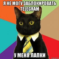 я не могу заблокировать telegram у меня лапки