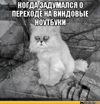 когда задумался о переходе на виндовые ноутбуки 