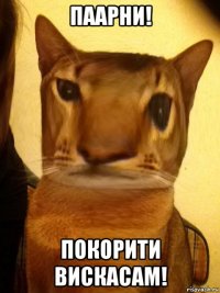 паарни! покорити вискасам!