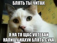 блять ты читак я на тя щас voteban напишу нахуй блять сука