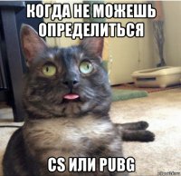 когда не можешь определиться cs или pubg