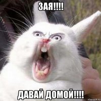 зая!!!! давай домой!!!!