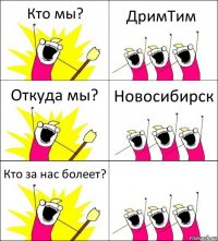 Кто мы? ДримТим Откуда мы? Новосибирск Кто за нас болеет? 