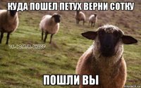 куда пошел петух верни сотку пошли вы