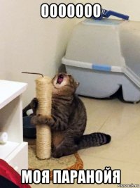 ооооооо моя паранойя