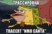 трассировка tracert "имя сайта"