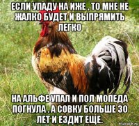 если упаду на иже , то мне не жалко будет и выпрямить легко на альфе упал и пол мопеда погнула . а совку больше 30 лет и ездит еще.