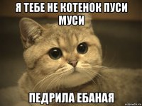 я тебе не котенок пуси муси педрила ебаная