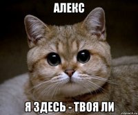 алекс я здесь - твоя ли