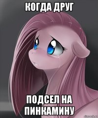 когда друг подсел на пинкамину