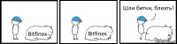 Bitfinex Bitfinex  Шли битки, блеать!
