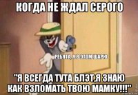 когда не ждал серого "я всегда тута блэт,я знаю как взломать твою мамку!!!"