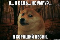 я... я ведь... не умру?... я хороший пёсик.