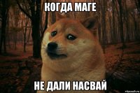 когда маге не дали насвай