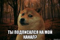  ты подписался на мой канал?