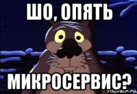 шо, опять микросервис?