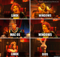 LINUX Windows MAC OS WINDOWS LINUX BIOS
