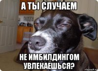 а ты случаем не имбилдингом увлекаешься?