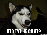 КТО ТУТ НЕ СПИТ?