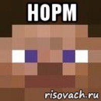 норм 