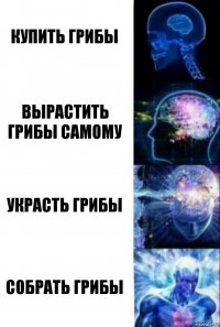 Купить грибы Вырастить грибы самому Украсть грибы Собрать грибы