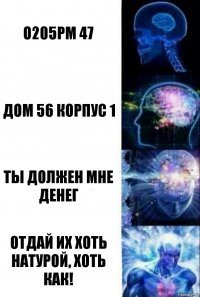 О205РМ 47 Дом 56 корпус 1 Ты должен мне денег Отдай их хоть натурой, хоть как!