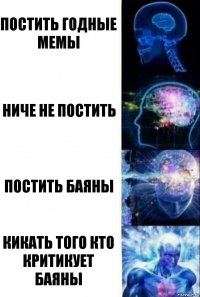 постить годные мемы ниче не постить постить баяны кикать того кто критикует баяны