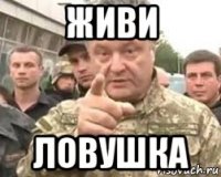 живи ловушка