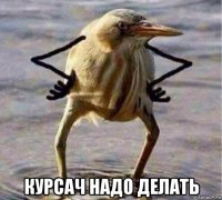  курсач надо делать