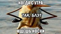 когда с утра ищешь носки