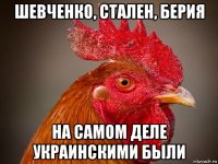 шевченко, стален, берия на самом деле украинскими были