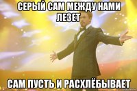 серый сам между нами лезет сам пусть и расхлёбывает