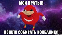 мои братья! пошли собирать конвалию!