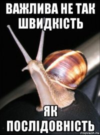 важлива не так швидкість як послідовність
