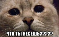  что ты несешь?????