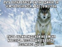 путь волка опасен, он так одинок. он чем-то прекрасен, и где-то жесток. пусть облик людской, но в меня навсегда. бесстрашного волка, вселилась душа..
