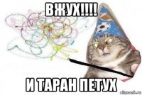 вжух!!!! и таран петух