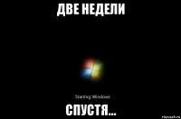 две недели спустя...