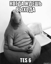 когда ждешь выхода tes 6