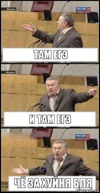 Там ЕГЭ И там ЕГЭ Чё за хуйня бля