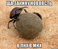 ща закину нововсть в пнх в мнх