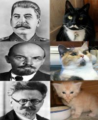 Котишка