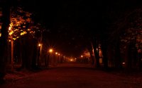 Ночная аллея