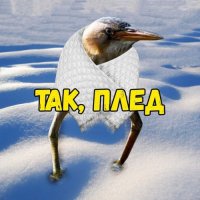 ТАК ПЛЕД