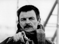 Торчок рулит