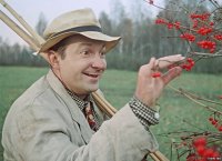 Вицин