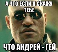 а что если я скажу тебе что андрей - гей