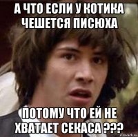 а что если у котика чешется писюха потому что ей не хватает секаса ???