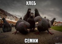 хлеб семки